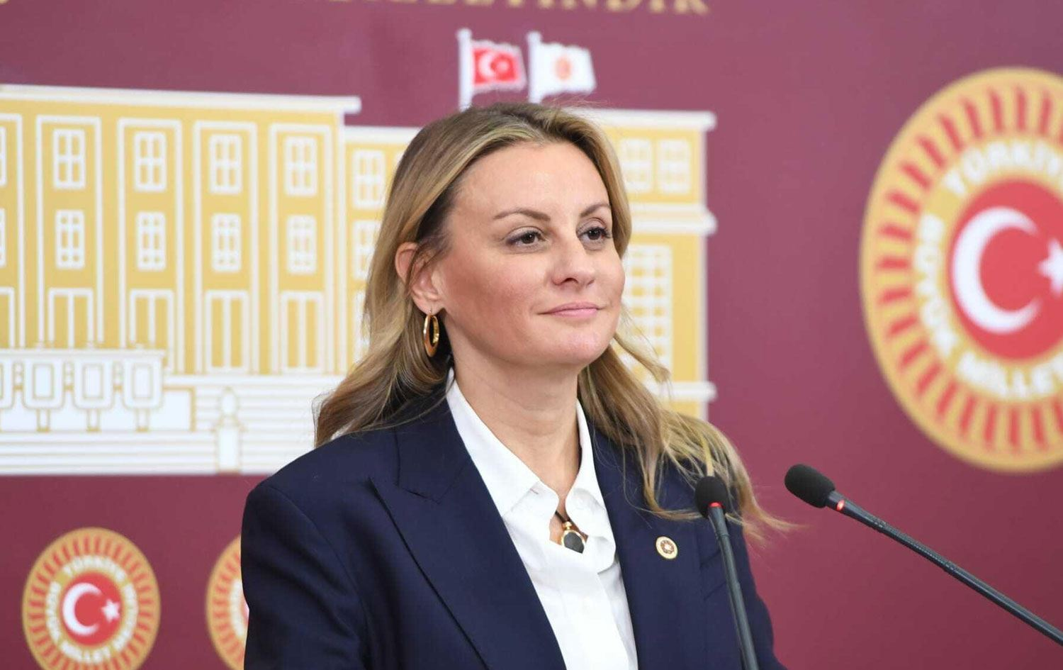 DEVA Partisi’nden istifa etmişti, yeni partisi belli oldu